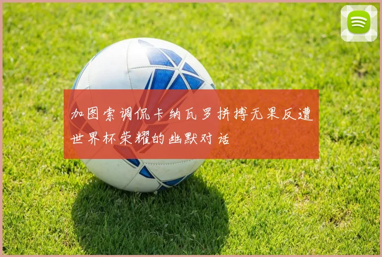 加图索调侃卡纳瓦罗拼搏无果反遭世界杯荣耀的幽默对话