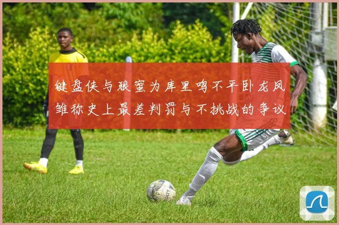 键盘侠与狼蜜为库里鸣不平卧龙凤雏称史上最差判罚与不挑战的争议